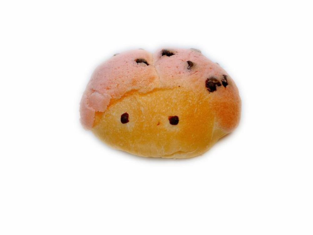 てんとうむし君