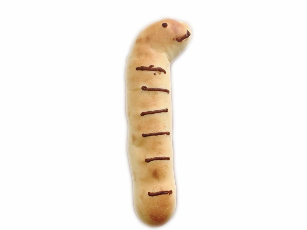 チンアナゴくん