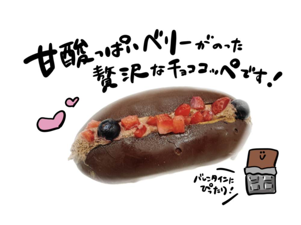 ミックスベリーのチョココッペ